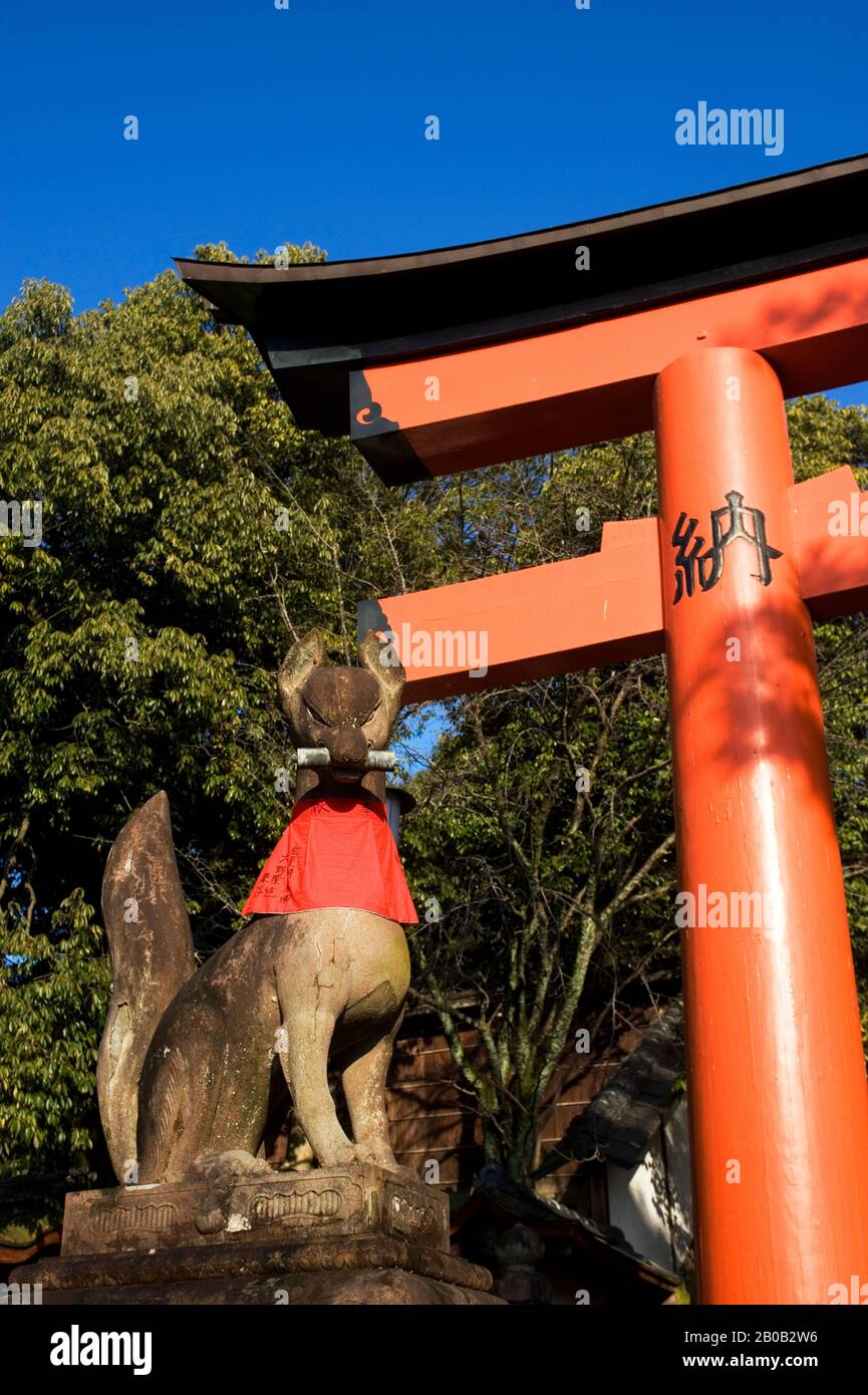 JAPAN, KYOTO, FUSHIMI INARI-SCHREIN (SHINTO-SCHREIN), TORII-TOR MIT FUCHS-STATUE Stockfoto