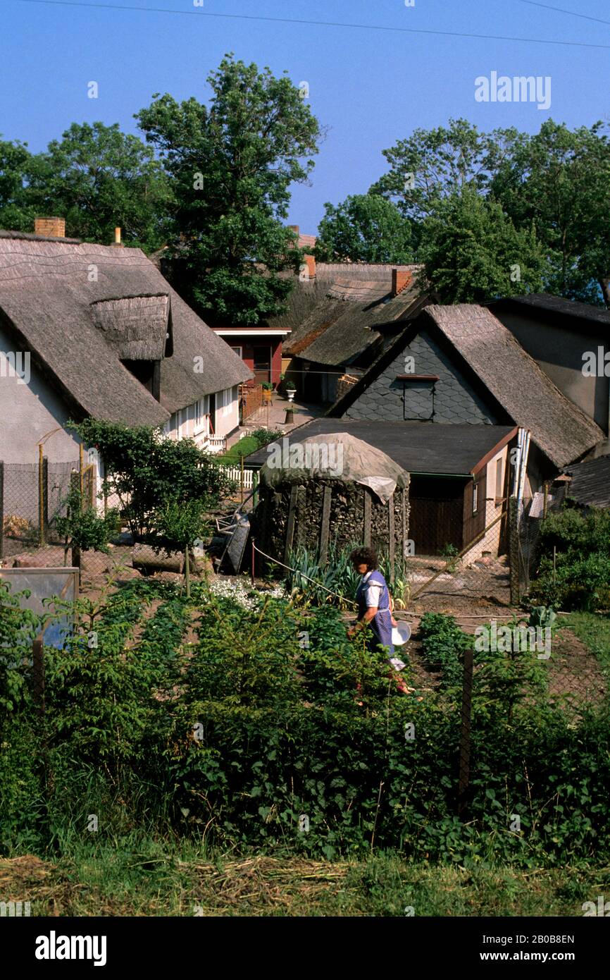 E.DEUTSCHLAND, RUGEN ISLAND, VITT VILLAGE, IN DER NÄHE VON KAP ARKONA, REED-COVERED HOUSES Stockfoto