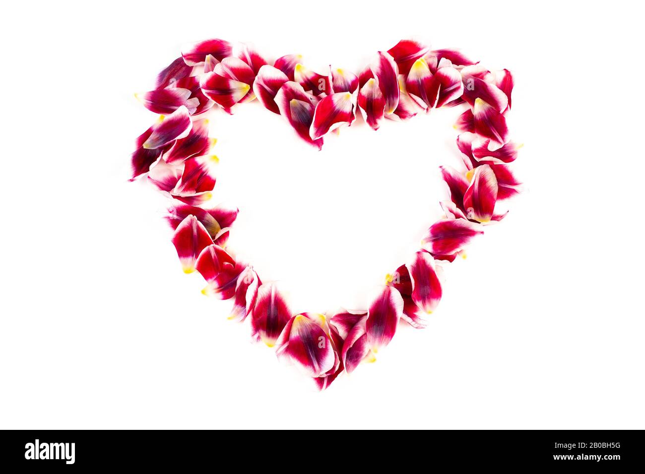Romantisches rotes offenes Liebesherz aus Blumen, isoliert auf weißem Hintergrund. Blumenmuster. Stockfoto