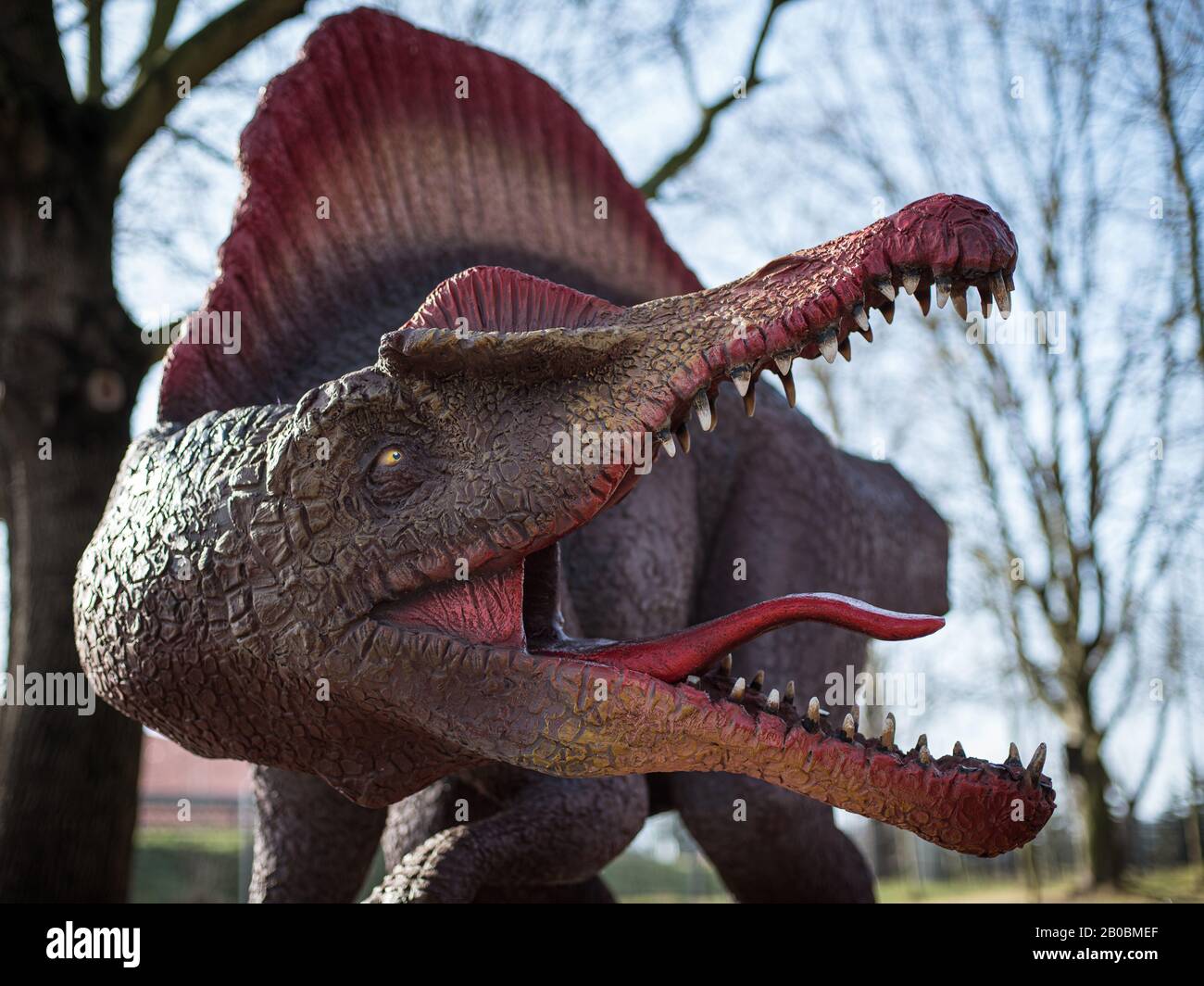 Lubin, POLEN - 8. FEBRUAR 2020 - Realistisches Modell des Dinosaurier-Spinosaurus im Park Wroclawski. Park ist eine bekannte Touristenattraktion für Kinder in t Stockfoto