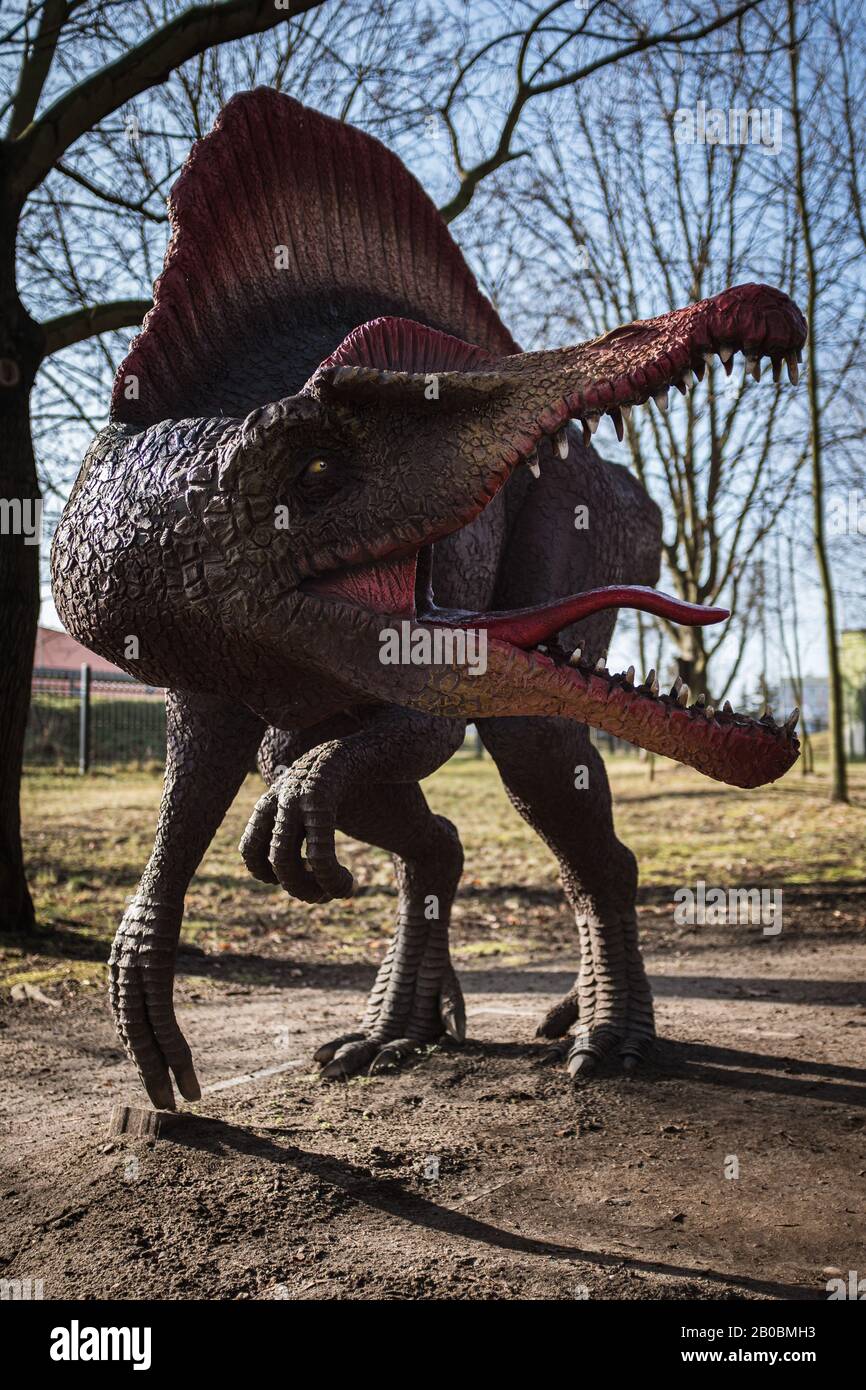 Lubin, POLEN - 8. FEBRUAR 2020 - Realistisches Modell des Dinosaurier-Spinosaurus im Park Wroclawski. Park ist eine bekannte Touristenattraktion für Kinder in t Stockfoto