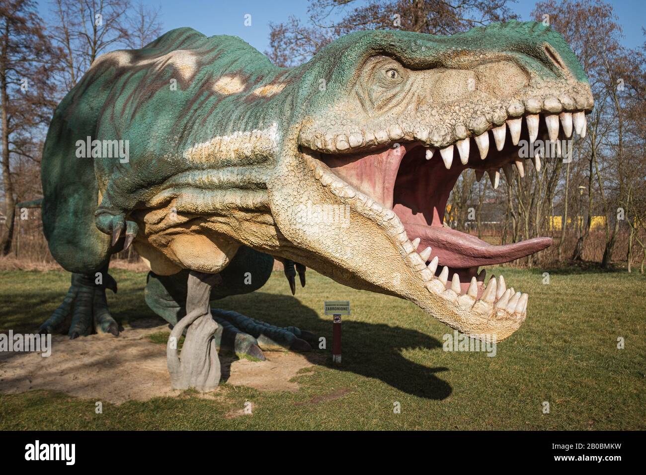 Lubin, POLEN - 8. FEBRUAR 2020 - Realistisches Modell des Dinosauriers Tyranosaurus Rex im Park Wroclawski. Der Park ist eine bekannte Touristenattraktion für Kinder Stockfoto