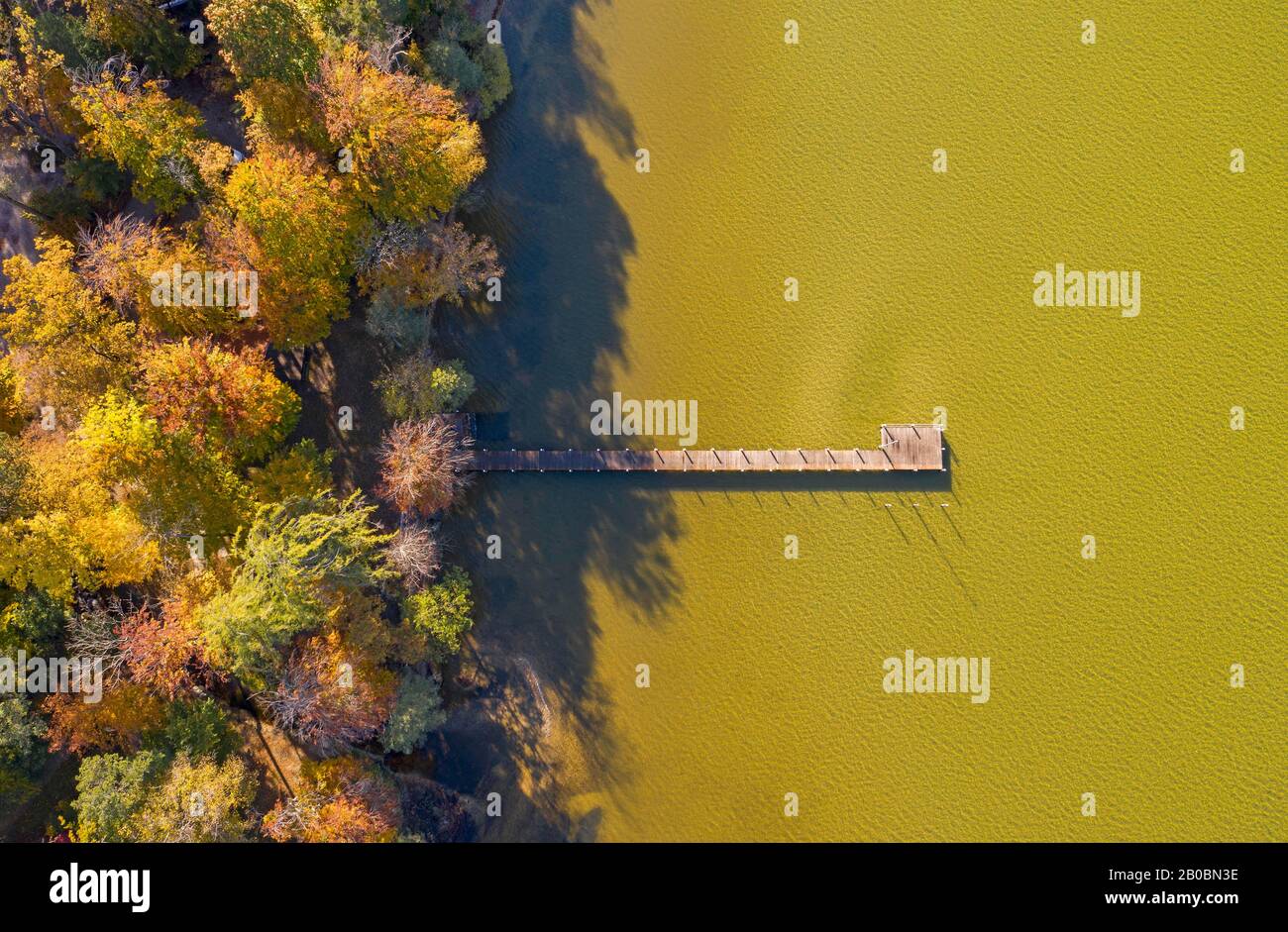 Herbststimmung am Starnberger See bei St. Heinrich, Luftbild, Fuenfseenland, Oberbayern, Bayern, Deutschland Stockfoto