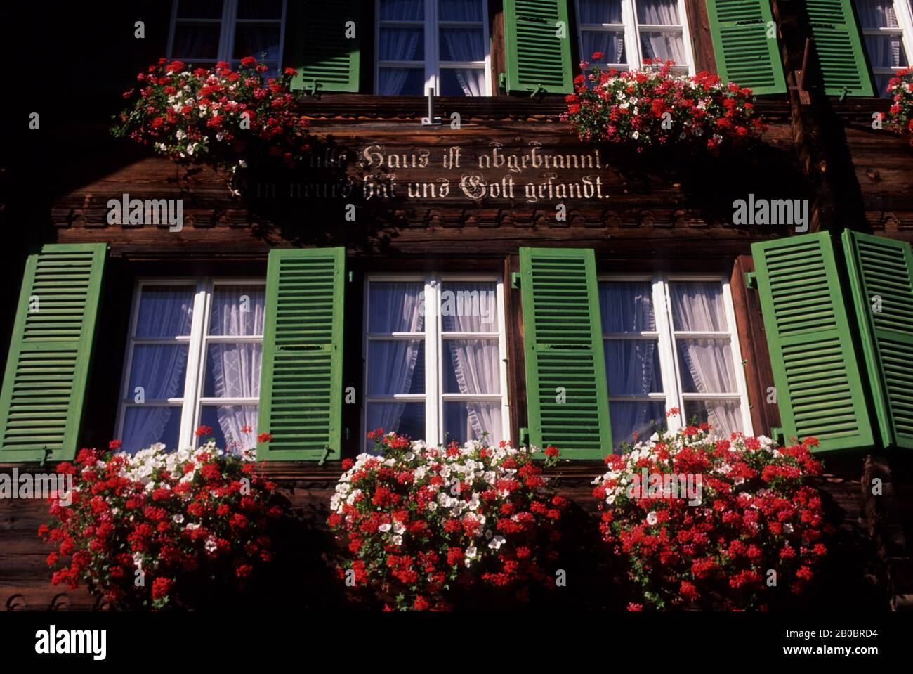 SCHWEIZ, BERNER OBERLAND, GRINDELWALD, HAUS, FENSTER MIT GERANIEN Stockfoto