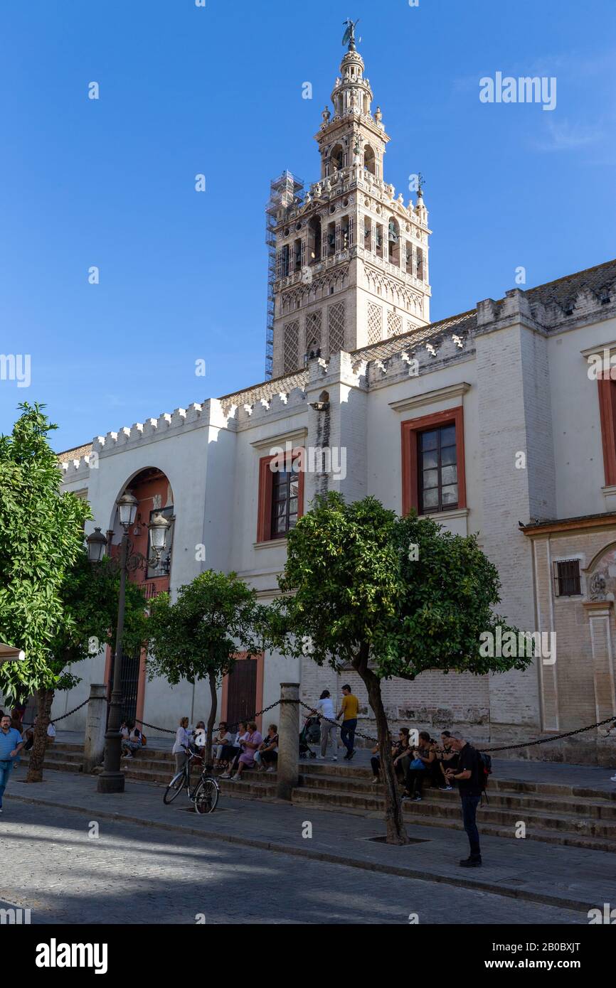 Santa Maria de la Sede, die berühmte Kathedrale in Sevilla, Andalucia, Spanien. Stockfoto