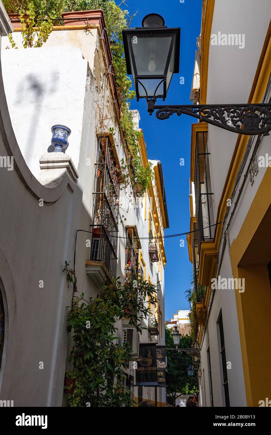 Enge Gasse in der Altstadt von Sevilla, Andalucia, Spanien. Stockfoto