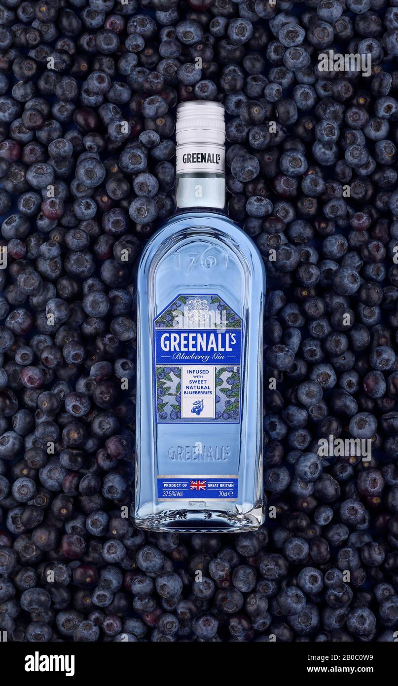 Eine Flasche Greenalls Blueberry Gin auf dem Hintergrund von Blaubeeren Stockfoto