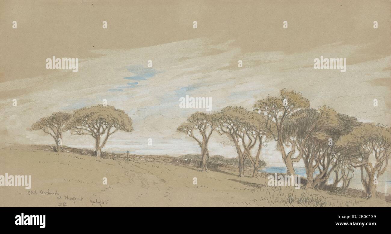 Samuel Colman, Old Orchard in Newport, 1865, waschen Sie Graphit auf grünem Taubenpapier, 7 Zoll x 12 3/16 Zoll. (17,78 x 30,96 cm Stockfoto