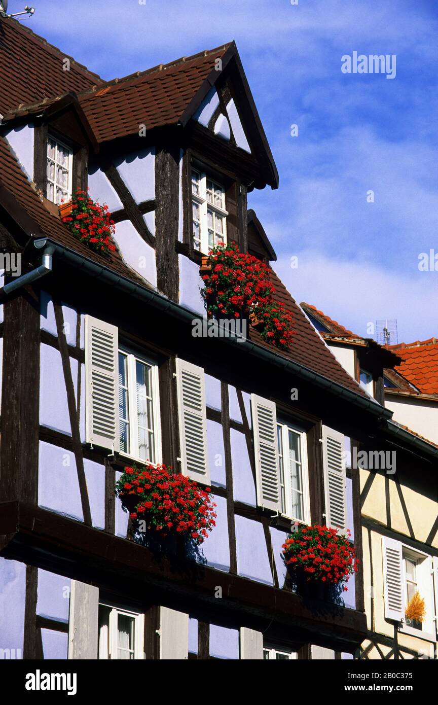 FRANKREICH, COLMAR, HÄUSER MIT BLUMENKÄSTEN Stockfoto