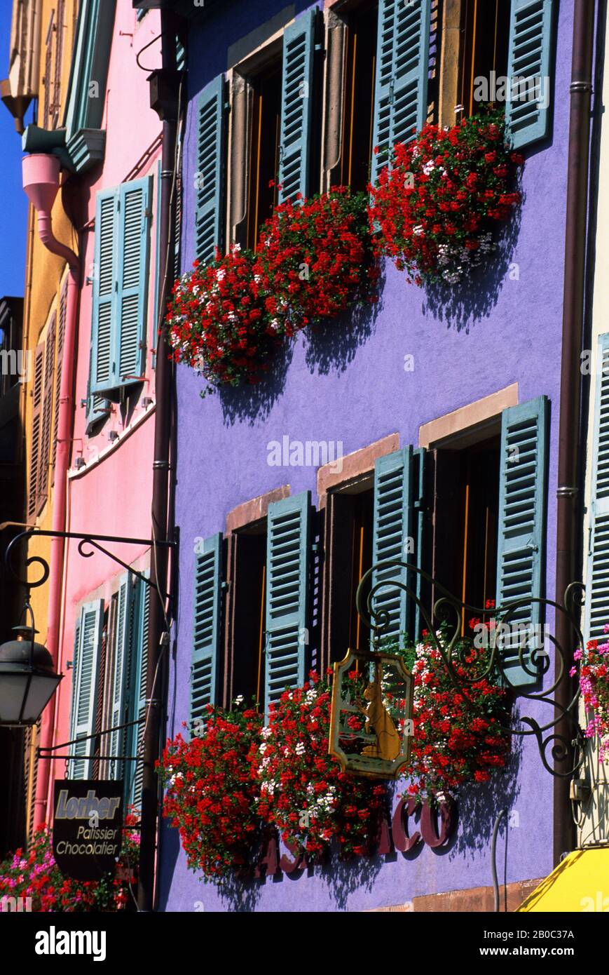 FRANKREICH, COLMAR, HÄUSER MIT BLUMENKÄSTEN Stockfoto