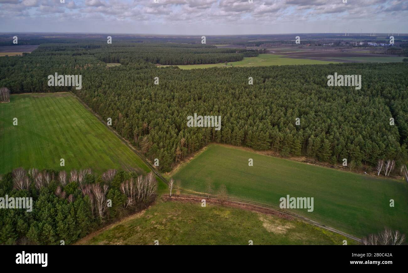 Kulturlandschaft im Norden Deutschlands mit Wald, Wiesen und Feldern, Luftbild mit der Drohne Stockfoto