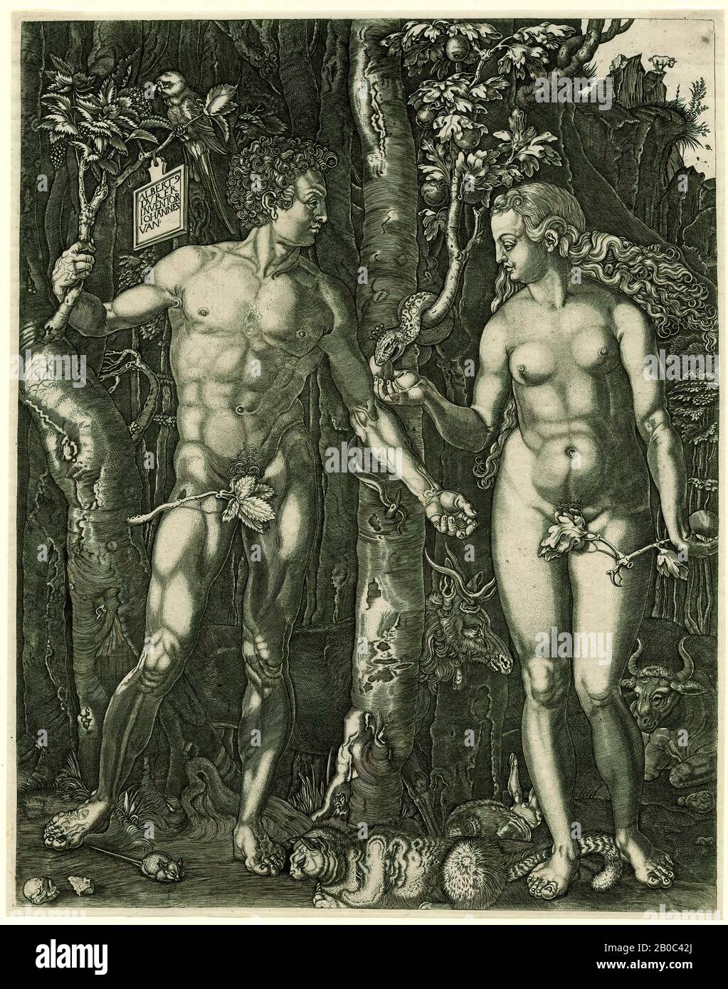 Johann Ladenspelder, Adam und Eve, n.d., Gravur auf cremefarbenes Papier, 9 9/16 Zoll x 7 1/2 Zoll (24,29 x 19,05 cm Stockfoto