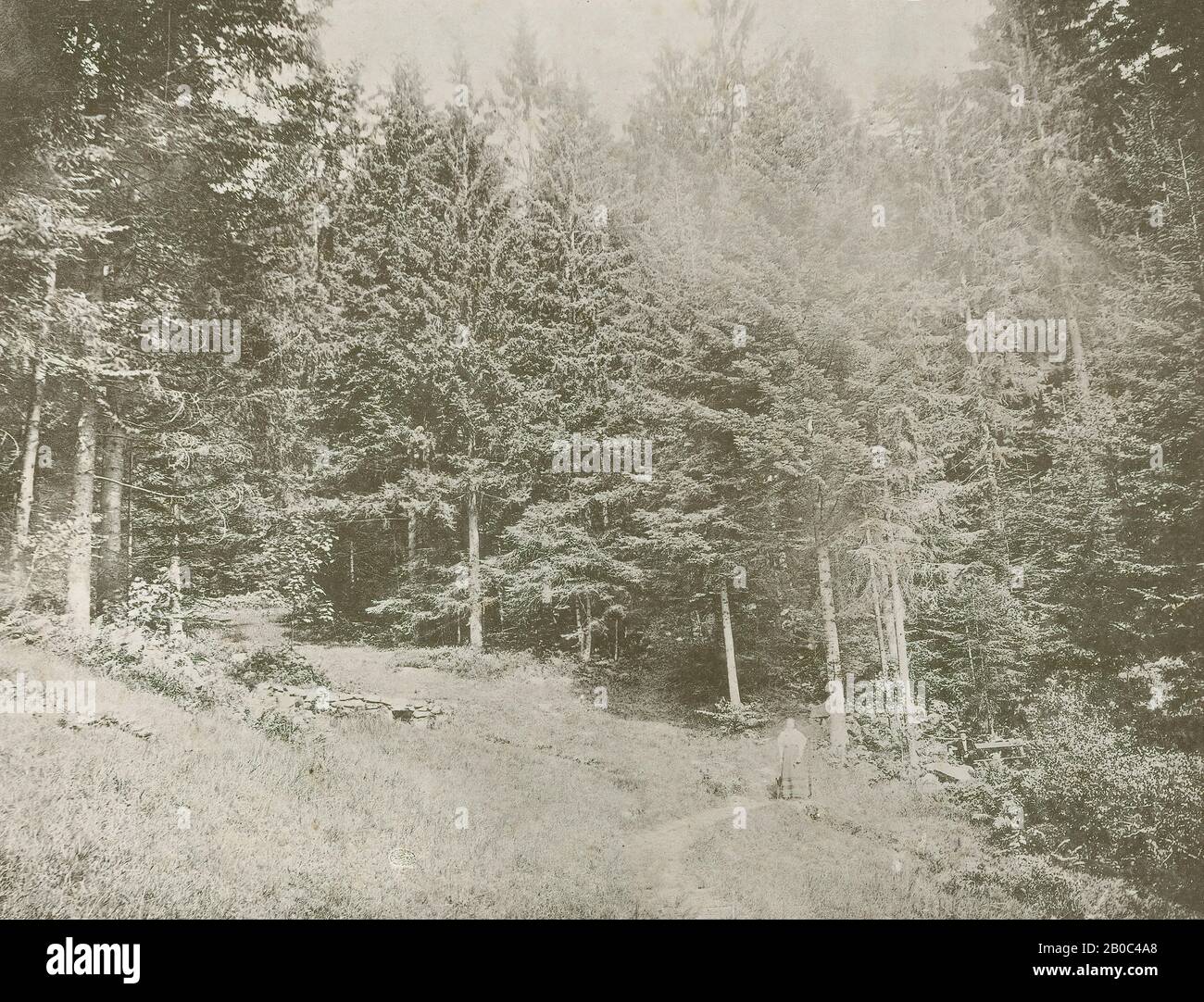 Unbekannte Künstlerin, Frau Im Wald, n.d., Albumin?, 7 1/16 Zoll x 9 Zoll (17,94 x 22,86 cm Stockfoto