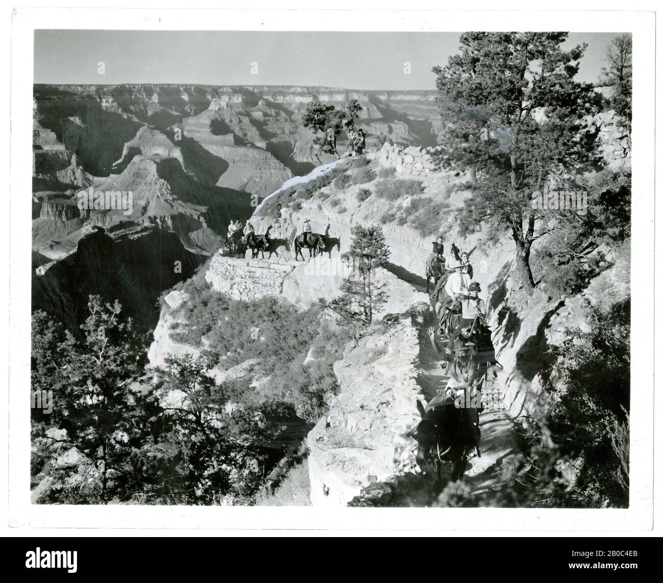 Santa Fe Railway Fotograf, Fahrer auf Horeseback Entlang Canyon Ridge, Grand Canyon National Park, Arizona, 5/1/1947, Foto, 7 3/8 x 9 1/4 Zoll (18,73 x 23,5 cm Stockfoto