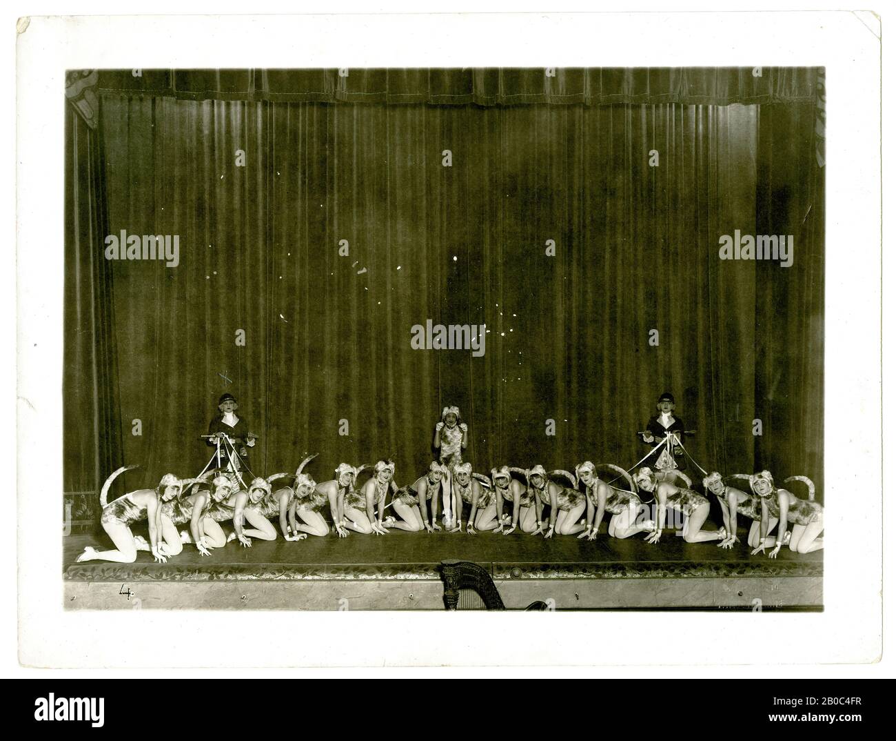 Unbekannter Künstler, unititled (Tänzerinnen Gekleidet als Hunting Party und Hunde), n.d., Gelatinesilberdruck Stockfoto