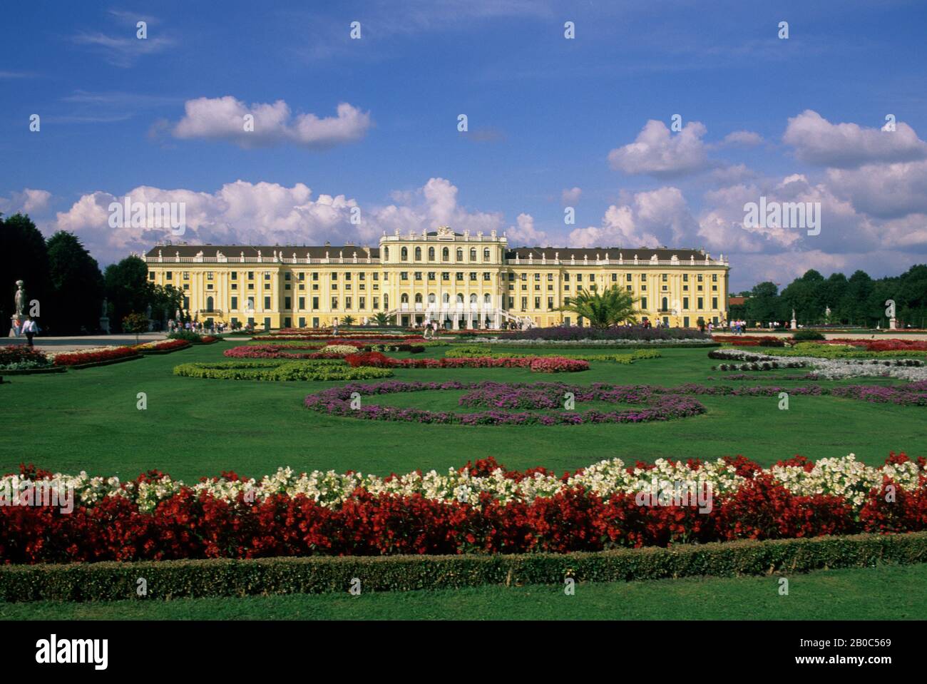 ÖSTERREICH, WIEN, SCHLOSS SCHÖNBRUNN, BLUMEN Stockfoto