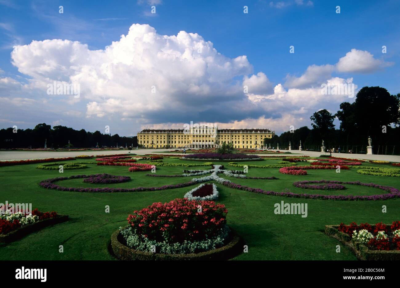 ÖSTERREICH, WIEN, SCHLOSS SCHÖNBRUNN, BLUMEN Stockfoto