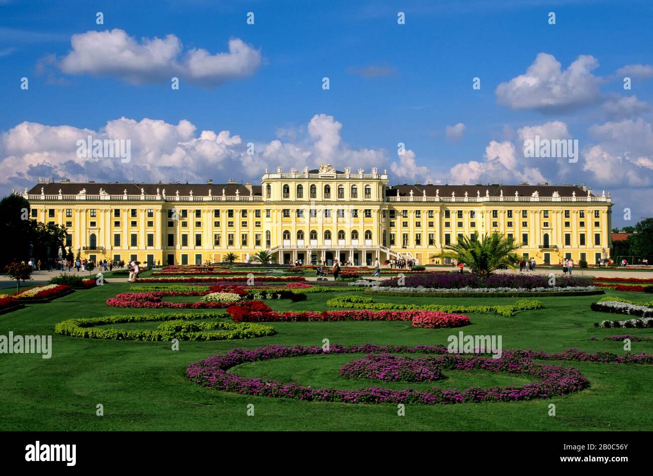 ÖSTERREICH, WIEN, SCHLOSS SCHÖNBRUNN, BLUMEN Stockfoto