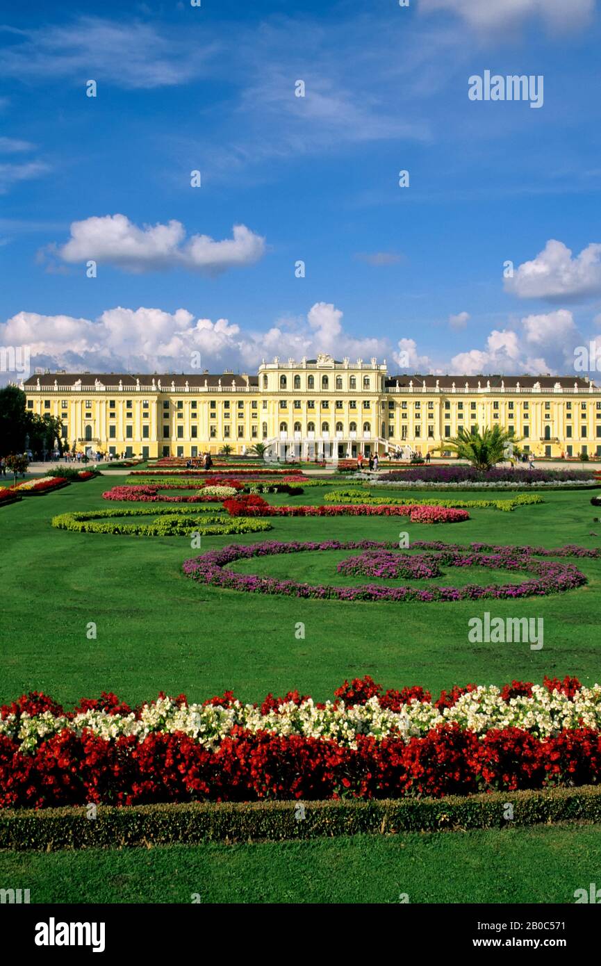 ÖSTERREICH, WIEN, SCHLOSS SCHÖNBRUNN, BLUMEN Stockfoto