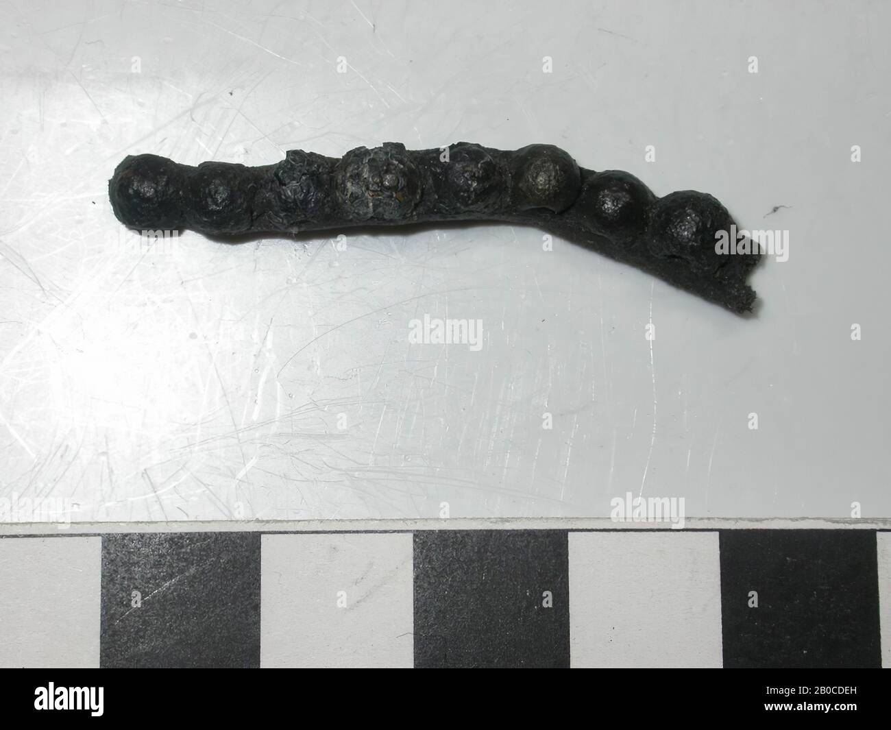 Fragment aus schmalem Ledergürtel mit Armaturen. Auf dem Band befinden sich 8 runde und konvexe Fittings aus Kupferlegierung ohne Zwischenraum. Der Batter hat dieselbe Breite wie das Band. Der Schlagstock wird mit einem Leitnagel am Gürtel befestigt. Die Farbe des Schlagbattens ist wegen der Korrosion des Bleis dunkelgrau bis schwarz. Der Durchmesser des Schlagbattens beträgt 0,5 cm und die Dicke 0,4 cm. Der Durchmesser der Nägel beträgt 0,1 cm, Band mit Armaturen, organisch, Leder, Metall, Kupferlegierung und Blei, Band: L: 4,4 cm, W: 0,5 cm, D: 0, 25 cm, Ende 14. Jahrhundert 1350-1400, Niederlande, Südholland Stockfoto