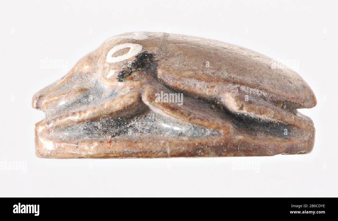 Ägypten, Robben, Skarabäus, roter, brauner Steatit mit Spuren einer grünen Glasur am Kopf, linken Beinen und Dichtungsfläche, 1,6 × 1,2 × 0,7 cm, Standort, Ägypten Stockfoto
