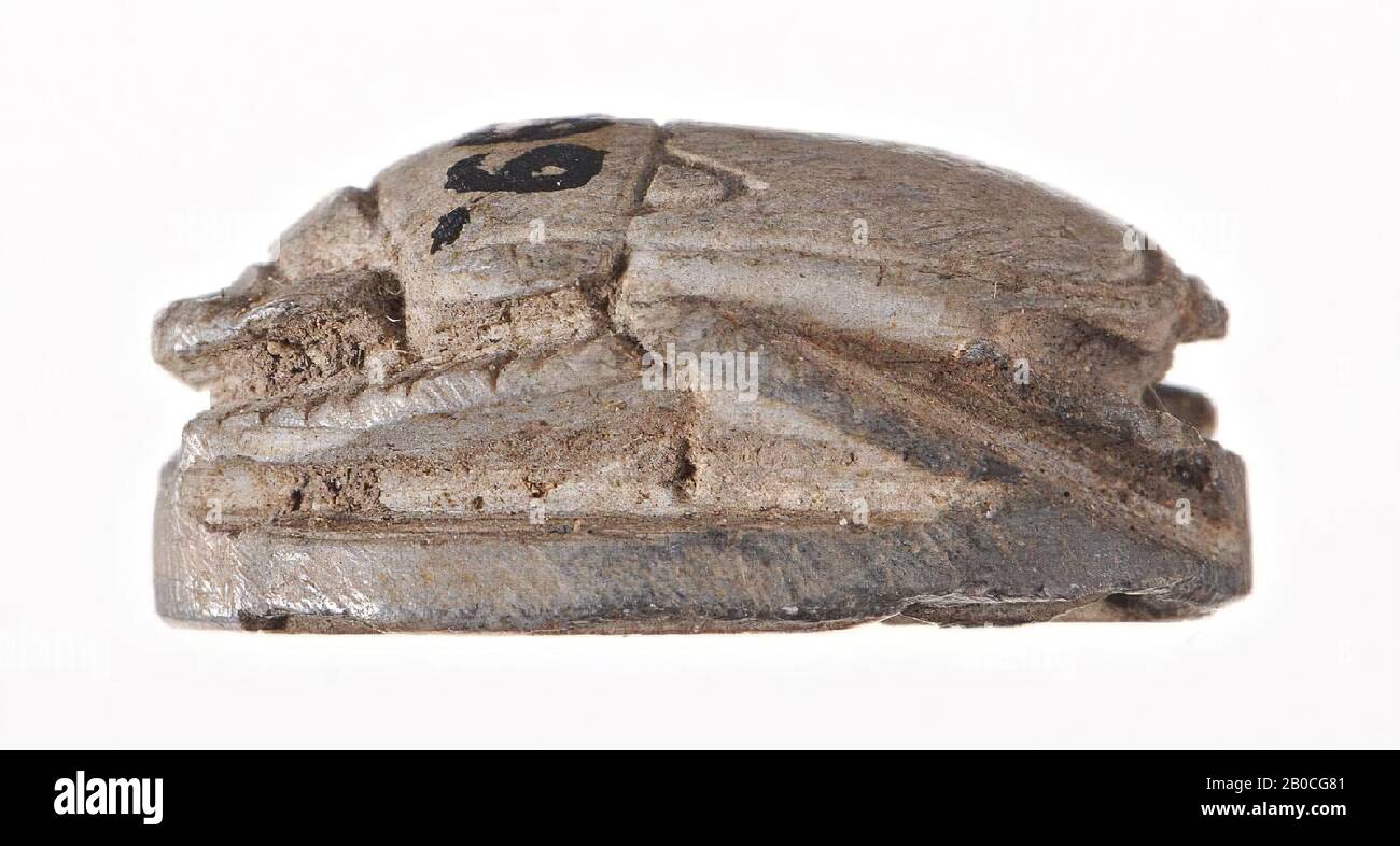 Skarabäus, Sphinx, Größe, Falke, Dichtung, Skarabäus, Stein (grau), 1,7 cm, Ägypten Stockfoto
