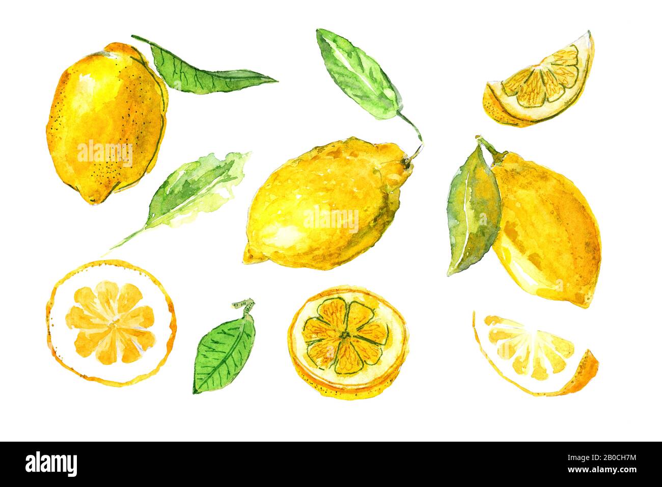 Set aus handgezogenen Zitronen in Wasserfarben, Designelement. Stockfoto