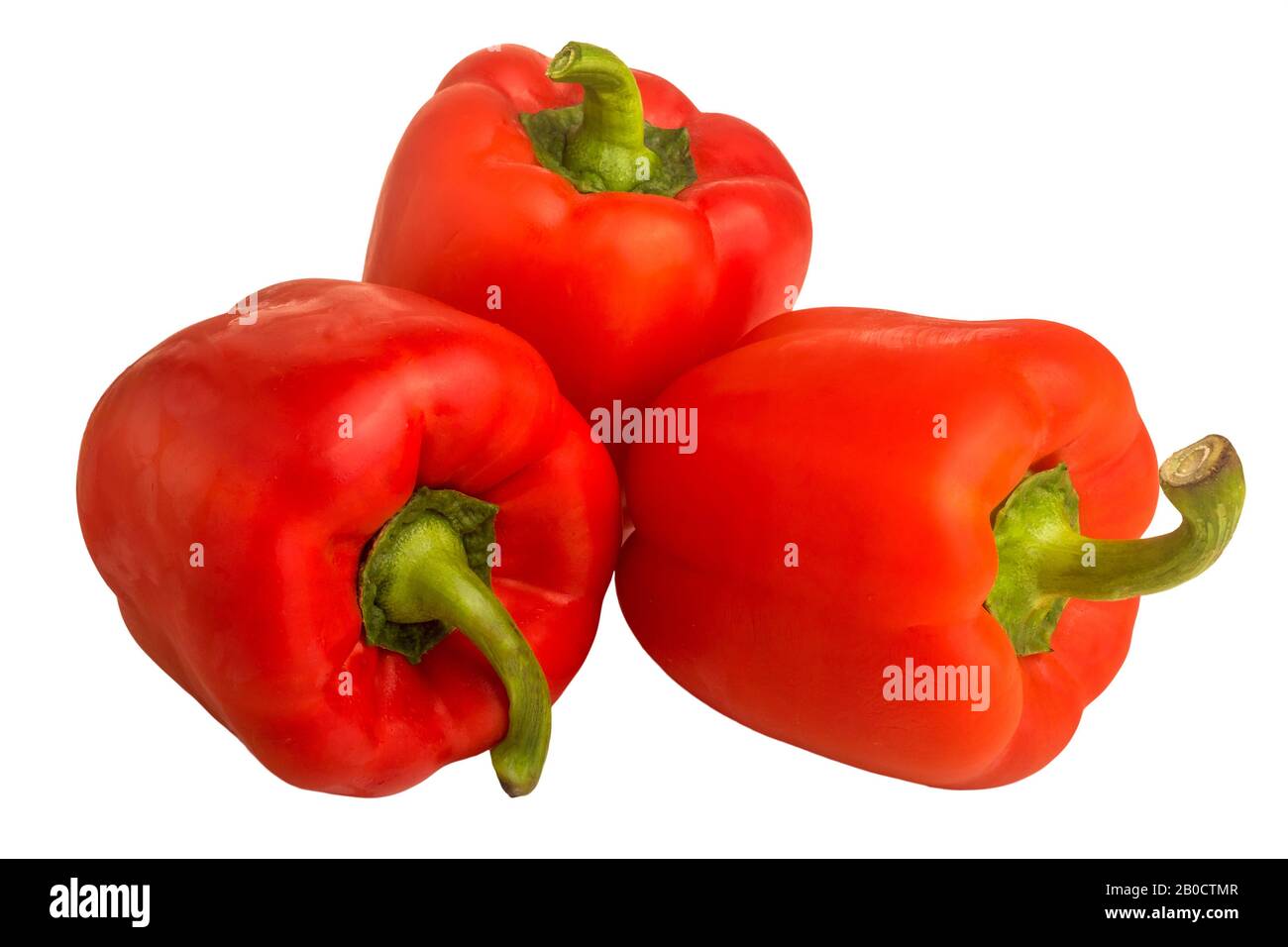 Bild von drei roten Paprika auf weißem Hintergrund Stockfoto
