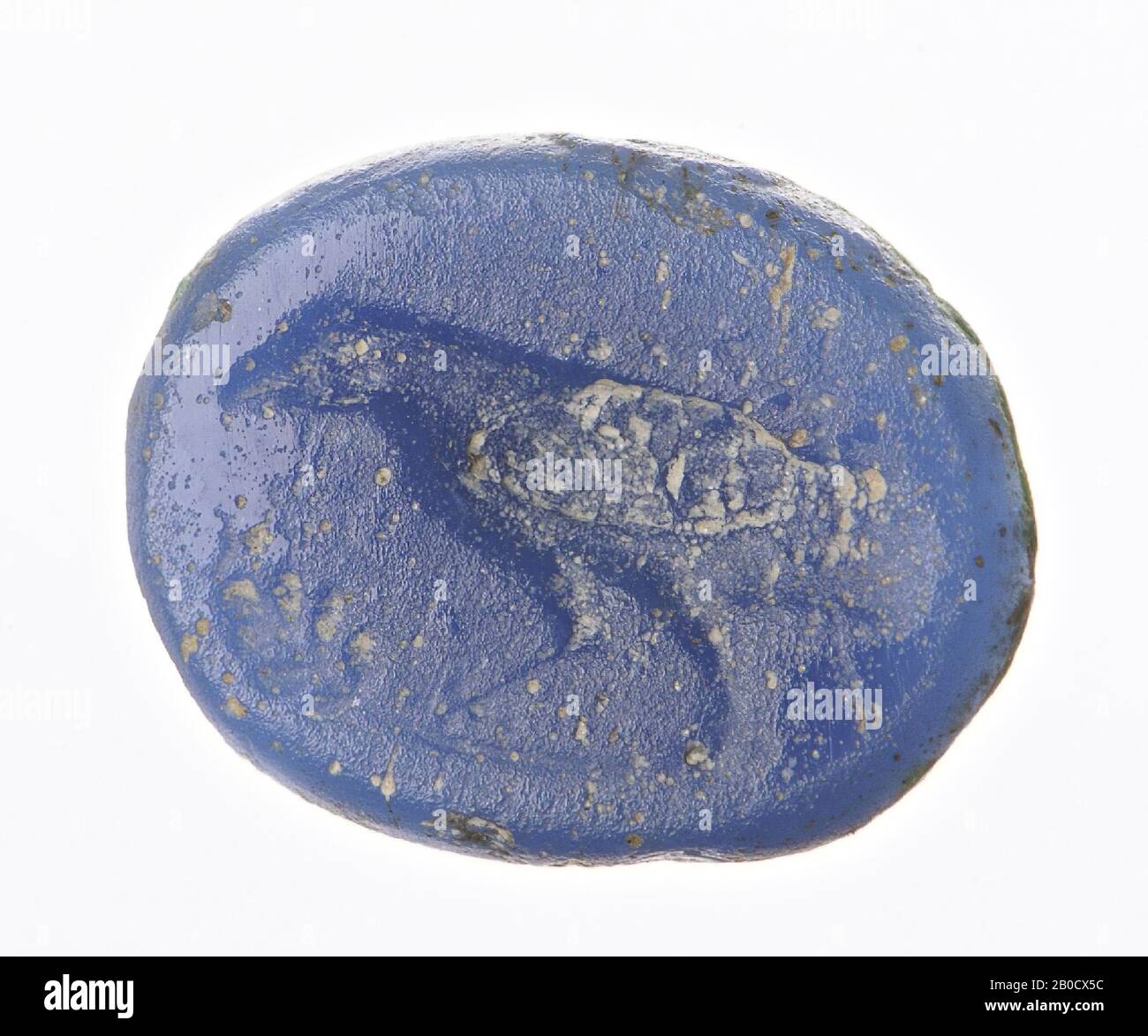 VZ: Papagei auf einem Ast, Schmuckstein, Intaglio, Ringstein, Glaspaste, Farbe: Blau opak, Form: Oval, Verarbeitung:, Stil: Körpermodellierung mit einem dicken, abgerundeten Bohrer, Details mit dünnen Scheibenrillen., 10 x 8 mm, D. 1 mm, 2. Hälfte 1. Jahrhundert v. Chr. - 1. Hälfte des 1. Jahrhunderts nach Christus. -50 V. CHR. Stockfoto