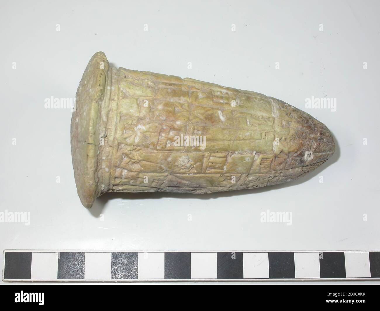 Die Unterseite hat eine zugespitzte Form. Von der Unterseite bis zur Nageloberseite ist der Körper weiter fast zylindrisch. Die Nagelspitze ist etwas breiter als der Körper und hat eine leicht konvexe Form. Ein kleiner Teil der Wand, etwa die Hälfte der Unterseite und die gesamte Oberseite des Nagels bleiben leer. Die Farbe des Nagels ist gelb Stockfoto