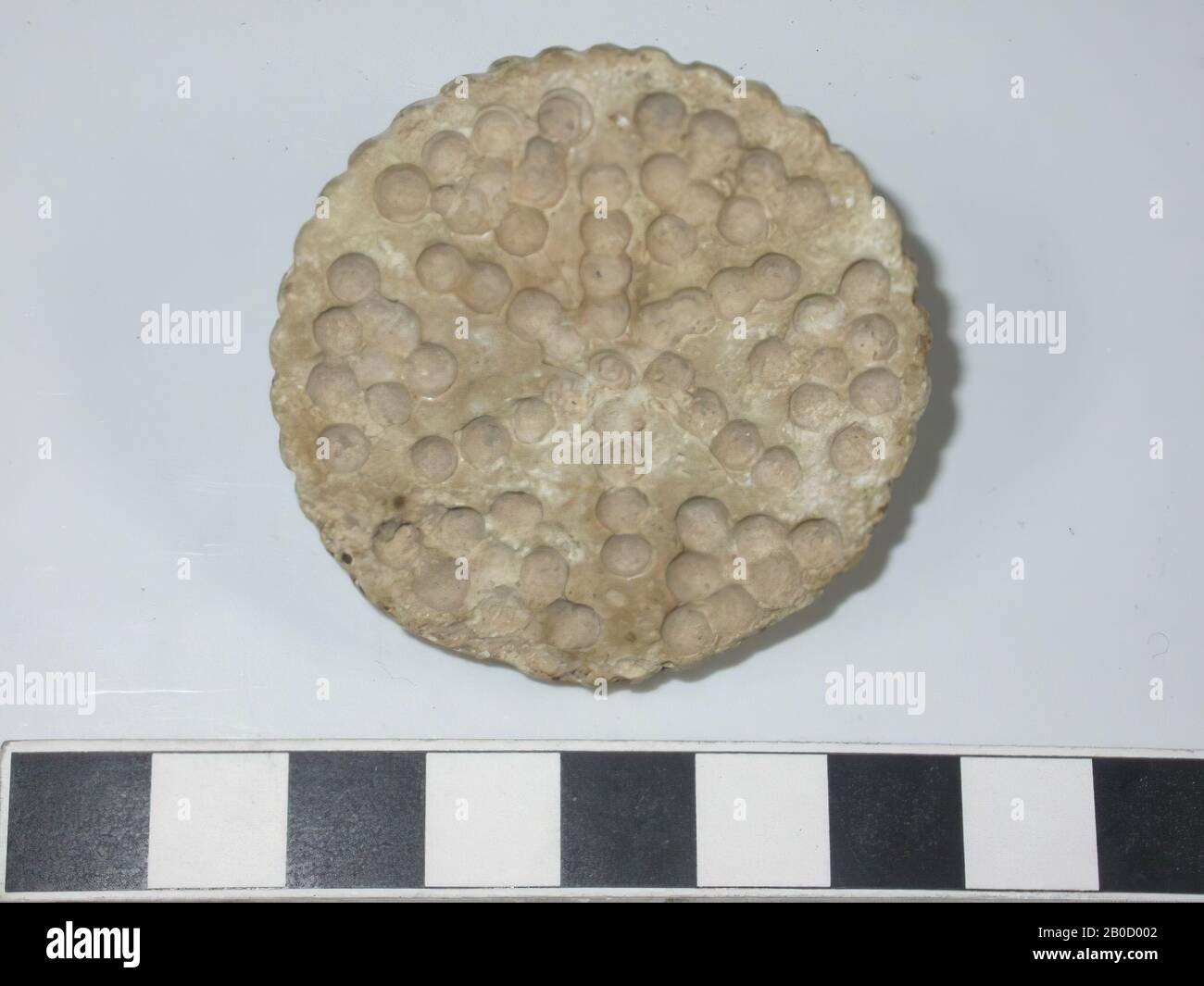 Oben befindet sich eine Verdickung, durch die sich eine Bohrung befindet. Die Seite ist rund gezähnt. Die Unterseite besteht aus einer großen Anzahl von runden Kerben. Die Hauptform ist eine sternförmige Figur. Die Dreiecke zwischen den Achsen des Sterns sind mit eng aneinander liegenden Kerben besetzt. Die Farbe ist cremefarben Stockfoto