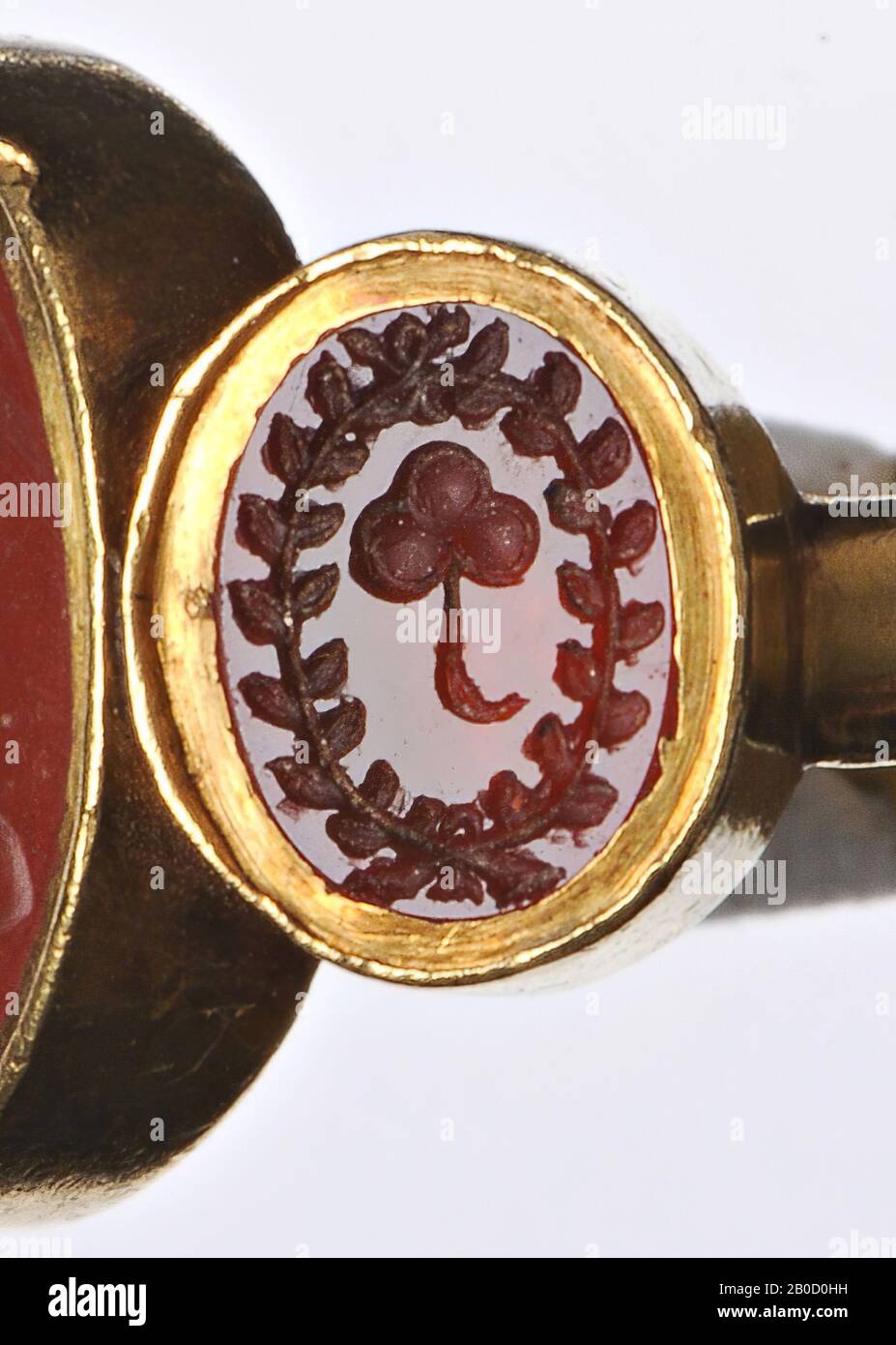 VZ: Kleeblatt im Kranz, Schmuckstein, Intaglio, Carnelian, Farbe: Rot, Form: Oval, stehend, Verarbeitung: In goldenem Ring, Typ :, 8 x 6 mm, D.? Mm, WT. 12.46 gr., 18. Jahrhundert 1700-1800 Stockfoto