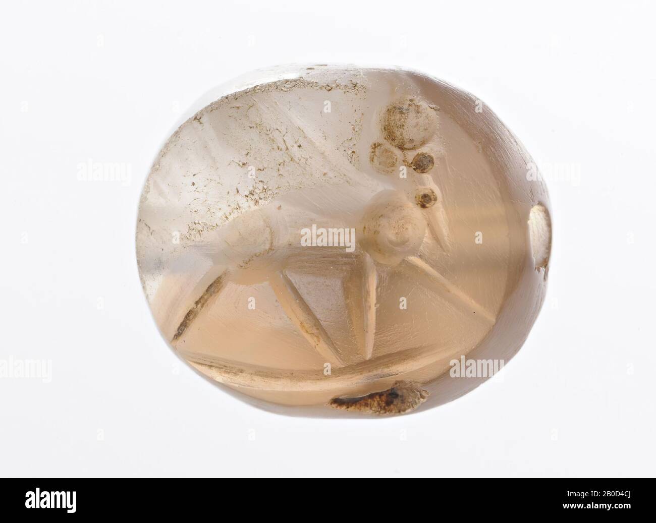 Gehauene Steine, Stempeldichtung, karnelisch, Farbe, bräunlich weiß, Form, Skaraboid, Bearbeitung, Kreation, 9 x 17 x 15 mm Stockfoto