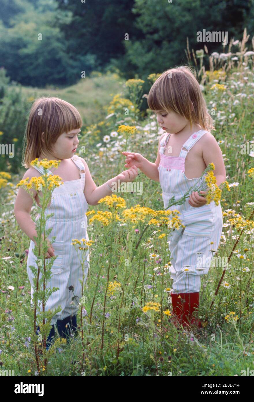 Junge Zwillingsmädchen im Bereich der wilden Blumen, die wie Tomboys aussehen, Großbritannien Stockfoto