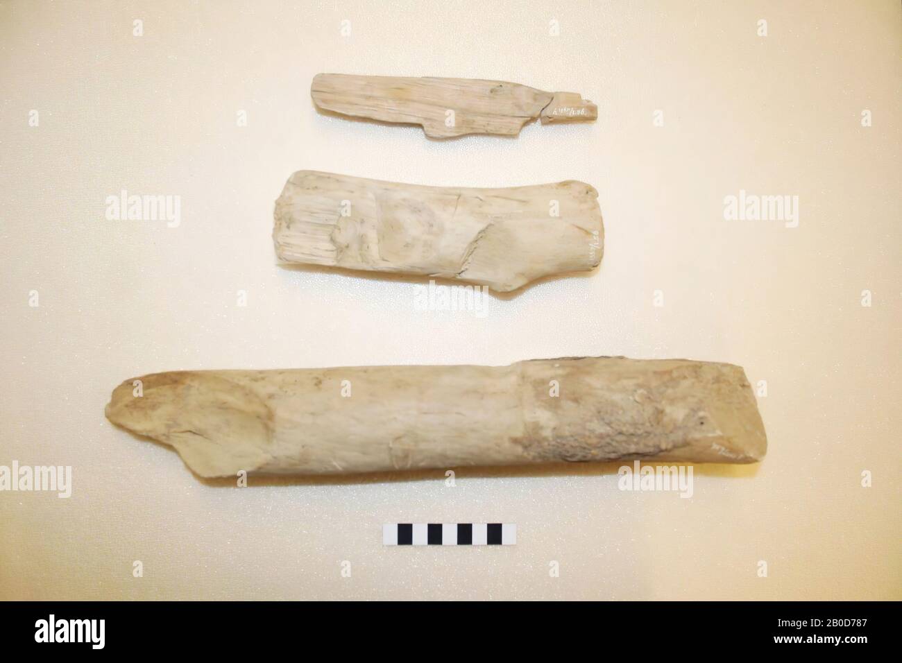 Drei Bruchstücke eines Haufens, Fragmente, organisch, Holz, gr. L: 40 cm, Vorgeschichte, Niederlande, Südholland, Molenwaard, Molenaarsgraaf, Molenaarsgraaf Stockfoto