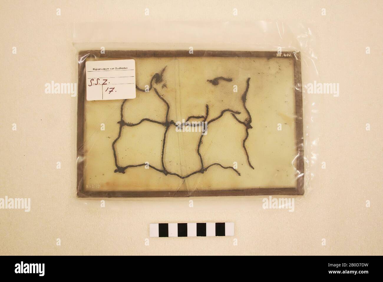 Fragment eines Fischnetzes in einem zerbrochenen Glasrahmen. -&gt; 2018 neu gefasst, Fischnetz, Bio, Flachs, Vorgeschichte, Schweiz, Zürich Stockfoto