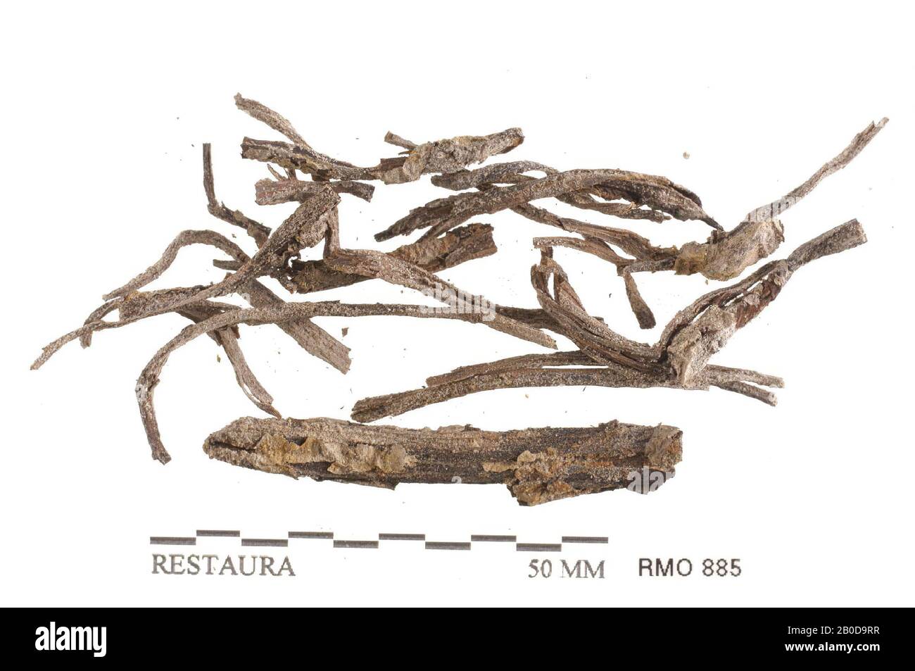 Clods mit Resten aus geflochtenem Holz ?, Clods mit Resten aus geflochtenem Holz ?, Erde, Holz, x, Niederlande, Utrechter, Wijk bij Duurstede, Wijk bij Duurstede, Dorestad Stockfoto