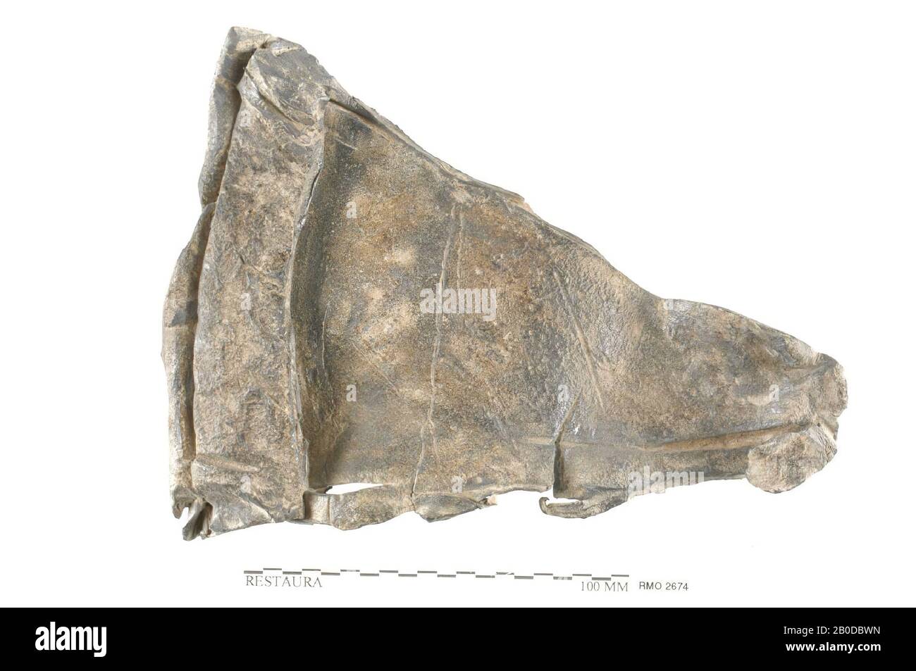 Teil der Platte mit verdicktem Rand, Teil der Platte mit verdickertem Rand, Blei, 17,2 x 13,0 cm, x, Niederlande, Utrechter, Wijk bij Duurstede, Wijk bij Duurstede, Dorestad Stockfoto