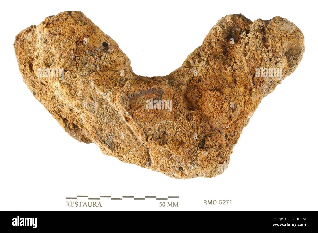 Niederlande Mittelalter, Teil des Schachtes, Bootshaken ?, Nagelfragmente, Eisen, 13,8 x 6,0 cm, 5,4 x 1,6 cm, x, Niederlande, Utrechter, Wijk bij Duurstede, Wijk bij Duurstede, Dorestad Stockfoto