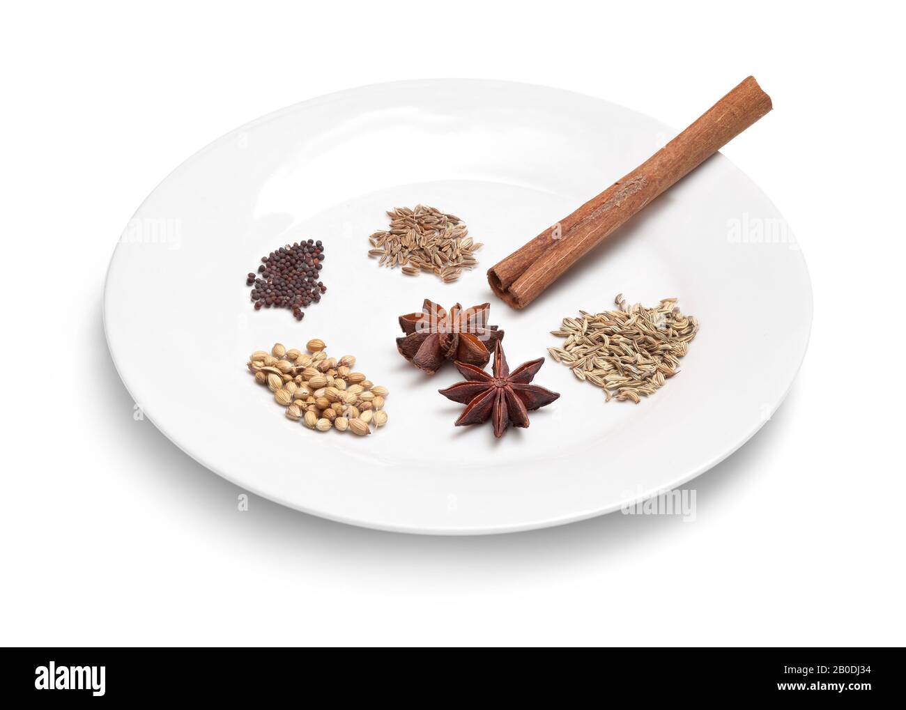 Eine kleine Auswahl an beliebten Gewürzen auf einem weißen Teller, Fenchelsamen, Kreuzkümmelsamen, Sternanis, Senfsamen, Zimtrinde Stockfoto