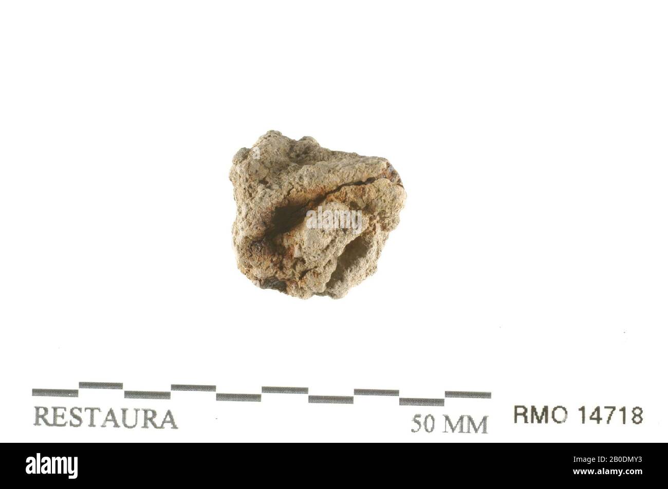 Das niederländische Mittelalter, Teil der Spange ?, dekoriert, Nagelfragment, Kupferlegierung, Eisen, 2,3 x 0,5 cm, 1,8 x 1,6 cm, x, Niederlande, Utrechter, Wijk bij Duurstede, Wijk bij Duurstede, Dorestad Stockfoto