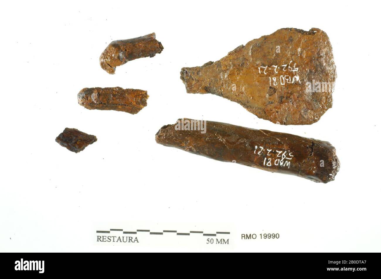 Niederlande Mittelalter, Teil von Meißel, mit Schaft, Eisen, 8,8 x 1,6, 5,7 x 3,6 cm, x, Niederlande, Utrechter, Wijk bij Duurstede, Wijk bij Duurstede, Dorestad Stockfoto