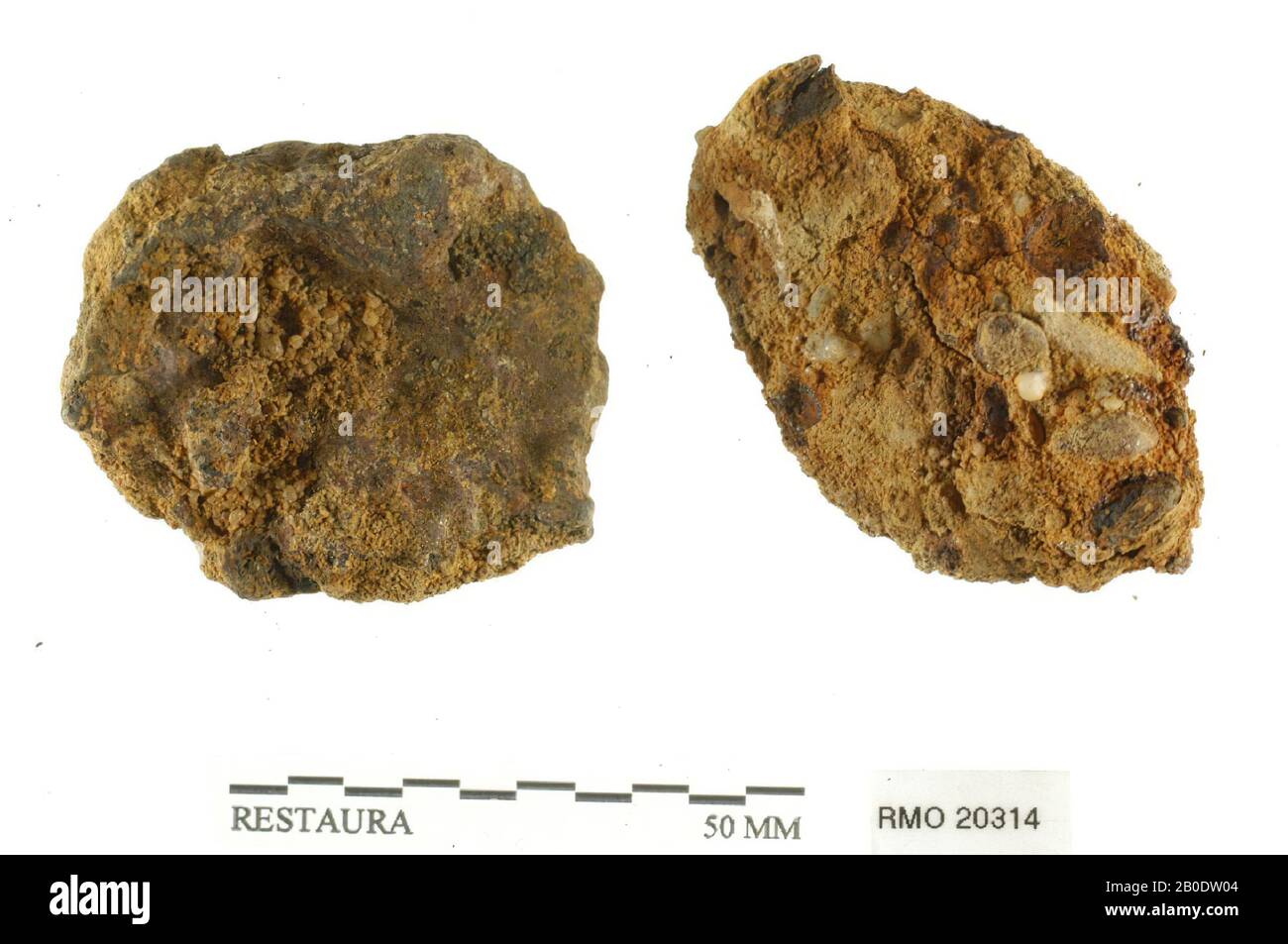 Niederlande Mittelalter, Schnecke, Teil von caulker, Marinekinder, Eisen, 5,3 x 3,5 cm, 4,6 x 3,8 cm, x, Niederlande, Utrechter, Wijk bij Duurstede, Wijk bij Duurstede, Dorestad Stockfoto