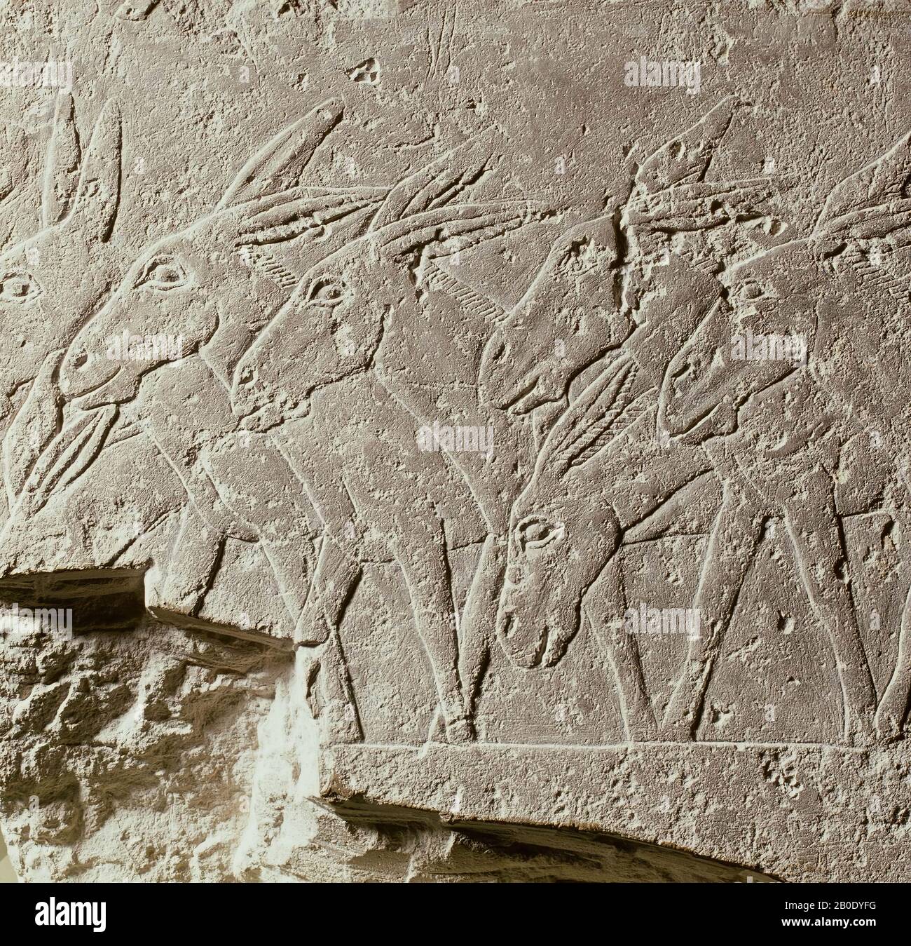 Ägypten, Reliefstein, 25 x 44 x 19 cm, ca. 55 kg, Altes Reich, 5th Dynasty 2465-2323 v. Chr., Ägypten Stockfoto