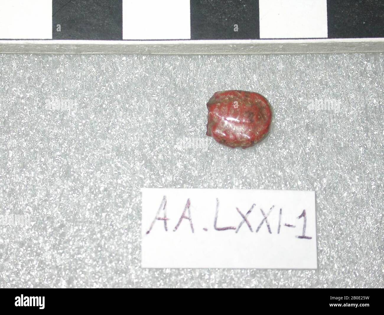 Scorpion amulet -Fotos und -Bildmaterial in hoher Auflösung – Alamy