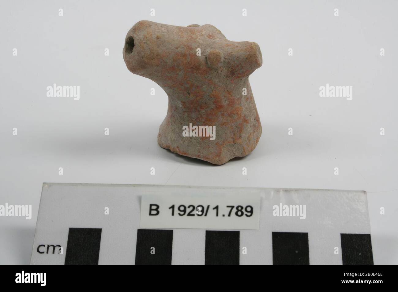 Der Kopf einer Steingut-Tierfeige, Figurin, Keramik, H 6,9 cm, W 5,8 cm, Israel Stockfoto