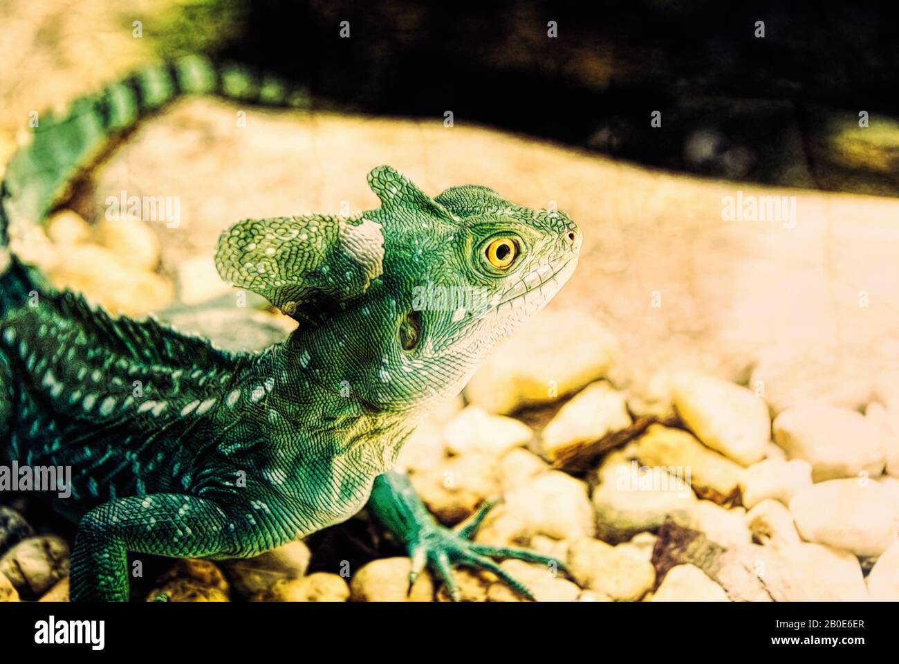 Eine grüne, gekreste Basilisk-Reptilienechse mit leuchtend gelben Augen. Digitale Kunst Stockfoto