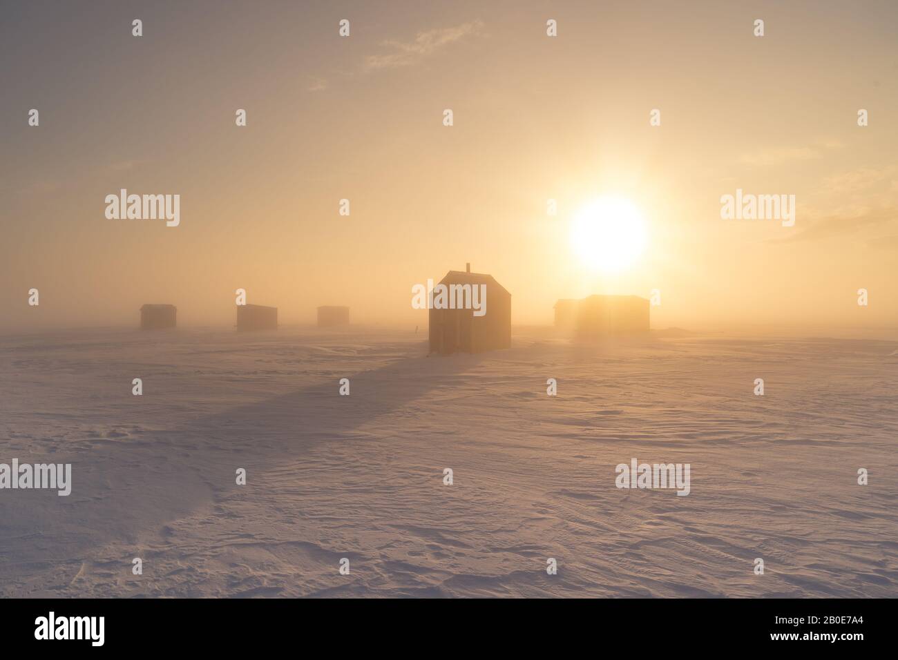 Eisangeln schwärmt bei Sonnenaufgang an einem gefrorenen Hafen. Stockfoto