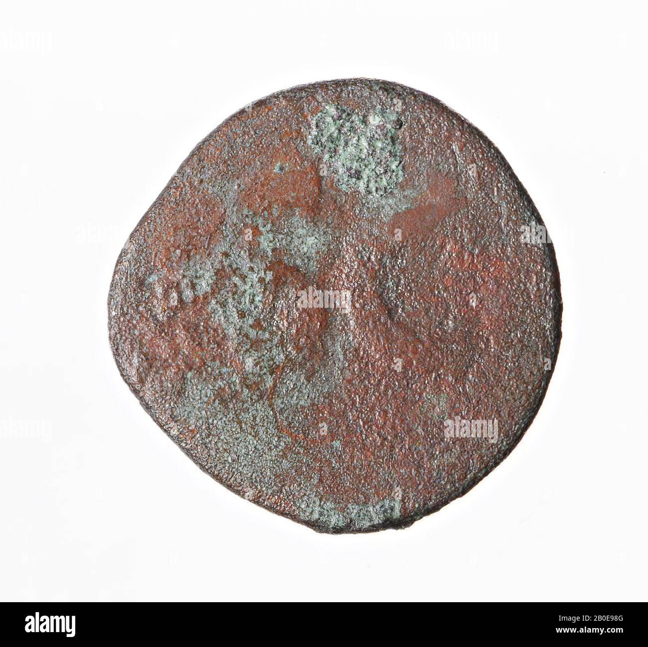 VZ: Kopf Nr. r., Kz: S-C, Aufschrift nicht sichtbar, Minze, Esche, Augustus, Münzmeister, Metall, Kupfer, Diam. 24 mm, WT. 8,44 gr, Roman BC 16-6, Niederlande, Südholland, Leidschendam-Voorburg, Voorburg, Arentsburg Stockfoto