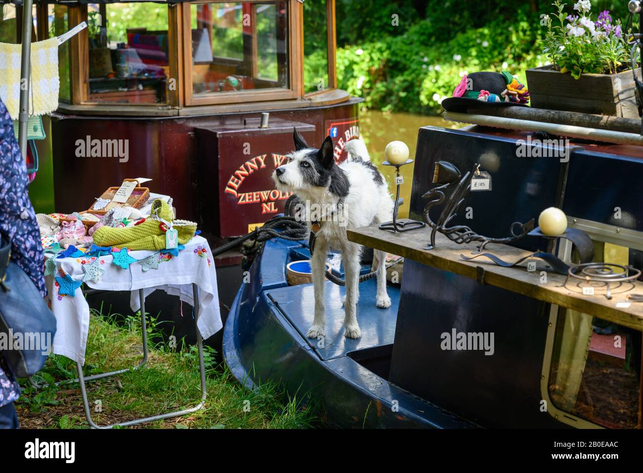 Kleiner Hund bewacht ein Boot der Händler beim ersten Gnosall Canal Festival am Shropshire Union Canal in Gnosall, Staffordshire UK Stockfoto